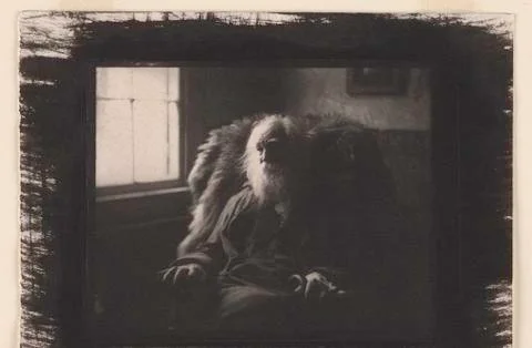 Walt Whitman Foto stock