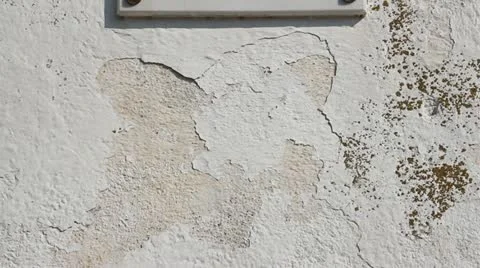 Walter Benjamin memorial Video stock 12007520