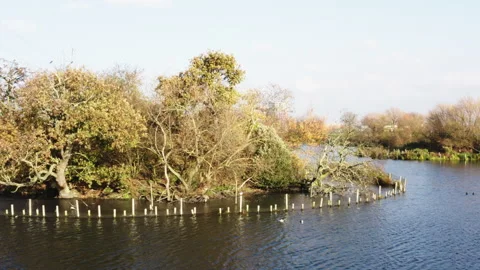 Walthamstow's Wetlands Stock Footage 243003530