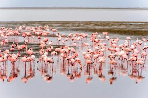 Walvis bay, Namibia Stock Photos