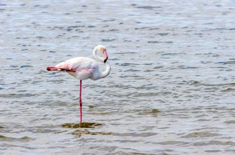 Walvis bay, Namibia Stock Photos