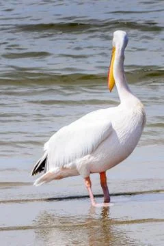 Walvis bay, Namibia Stock Photos
