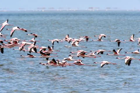 Walvis bay, Namibia Stock Photos
