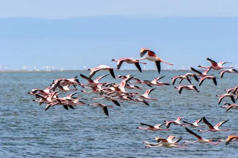 Walvis bay, Namibia Stock Photos
