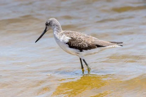Walvis bay, Namibia Stock Photos