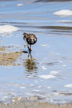 Walvis bay, Namibia Stock Photos