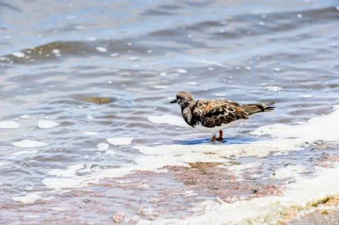 Walvis bay, Namibia Stock Photos