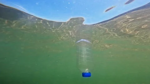 Wan voluntarily taking out plastic waste from the river left by others Stock Footage 201752274