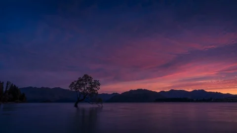 Wanaka Tree daybreak timelapse Stock Footage 98112065