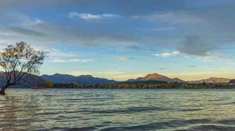 That Wanaka Tree, Sunset Time Lapse Pan Left Video stock 63884716