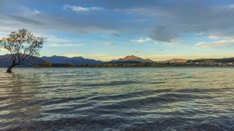 That Wanaka Tree, Time Lapse Pan Right Stock-Footage 63885206