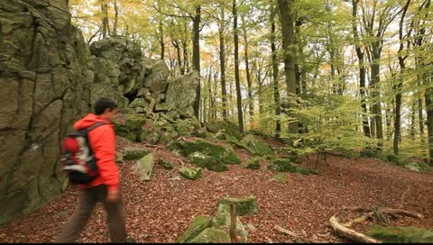 Wandenr 21 Stock Footage 11384916