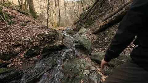 Wanderer down 10 库存影片 22261757