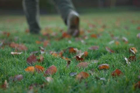 Wanderer Stock Photos