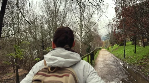 Wanderer's Path: Journey Through the Serene Trail Stock Footage 265703306