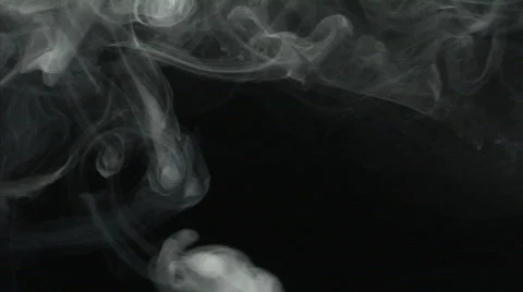 Wandering Stock Footage 113470