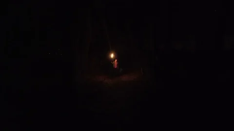 A wandering man in a forest with a burning torch Stock Footage 73734121