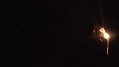 A wandering man in a forest with a burning torch Vidéo 73734759