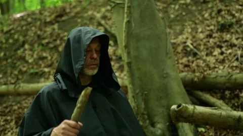 Wandering Monk in Forest Silence Stock Footage 336695498