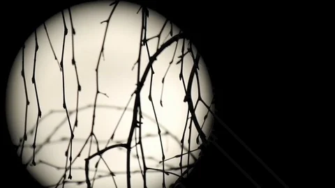 Wandering Moon Stock Footage 103746751