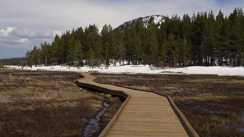 Wandering path into the forest Stock Footage 90063663
