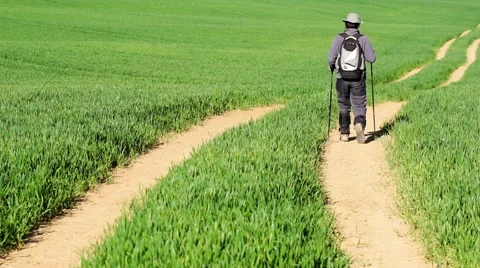 Wandering spring green landscape Stock Footage 51497120