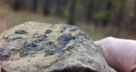 Wandering stones Stock Footage 143783348