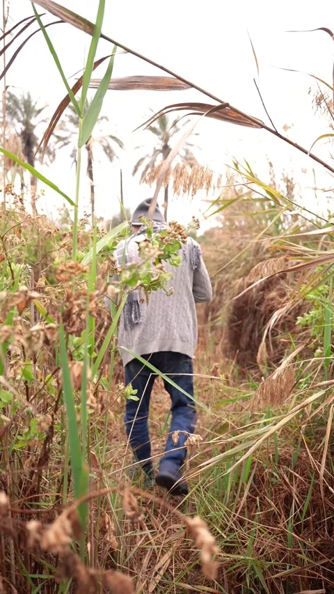 Wandering Through Nature Stock Footage 314521535