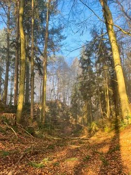 Wanderlust in the Black Forest Foto stock