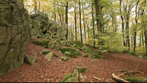 Wandern 20 Stock Footage 11384758