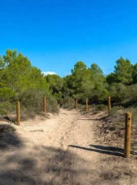 Wanderweg im Naturschutzgebiet Punta de n Amer bei Cala Millor, Mallorca W... Stock Photos