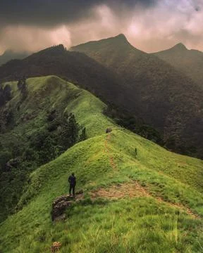 Wangedigala mountain range 库存照片