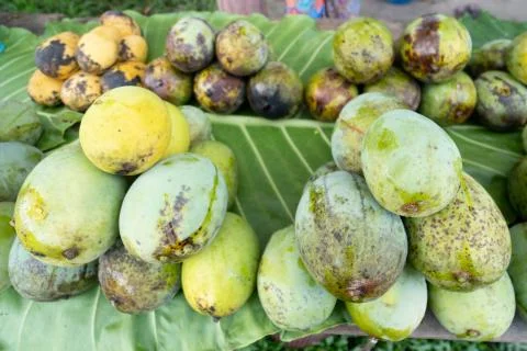 Wani mango Stock Photos