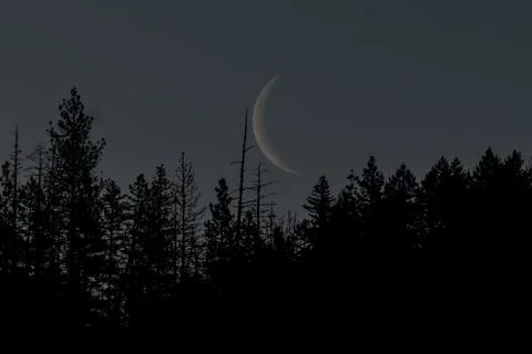 Waning Crescent Moon Stock Photos