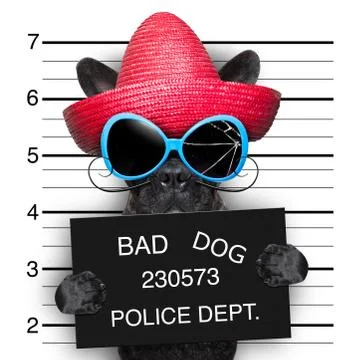 Wanted dog Foto stock
