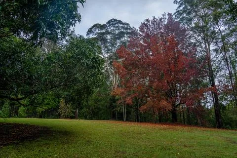 Wappa Dam Stock Photos