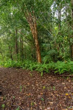 Wappa Dam Stock Photos