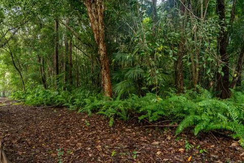 Wappa Dam Stock Photos