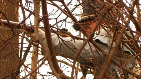 WAR OF 1812 Stock-Footage 10836214