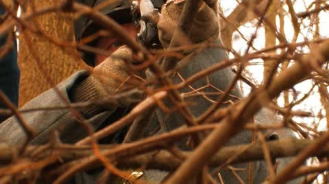 WAR OF 1812 Stockbeeldmateriaal 10836863