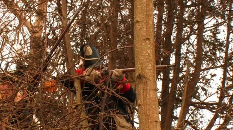 WAR OF 1812 Stockbeeldmateriaal 10848278