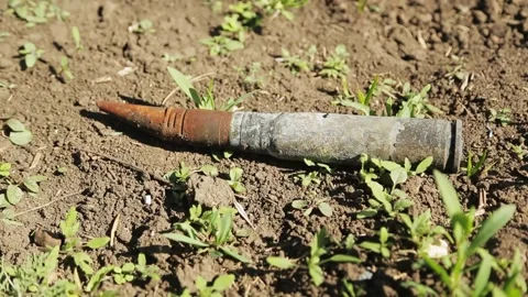 War aftermath unexploded artillery shell found in the grass of a civilian area. Stock Footage 329972762
