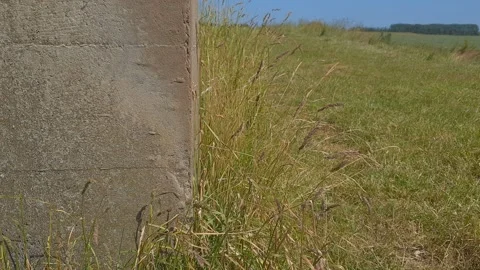 War Bunker with long grass blowing in the slight breeze Stock-Footage 201528753