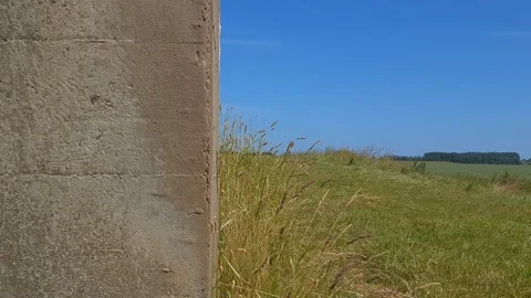 War Bunker with long grass moving in the breeze Stockbeeldmateriaal 201528888