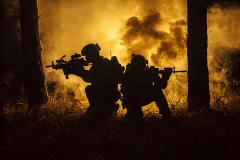 War in the forest Foto stock