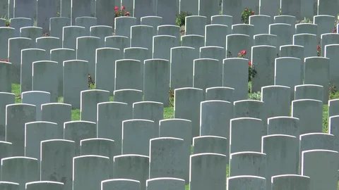 War Graves And White Butterfly Stock Footage 99157016