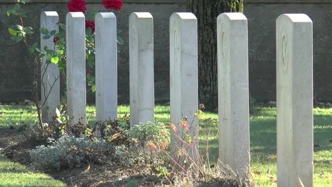 War Graves Cemetery Budapest Stock Footage 100445916