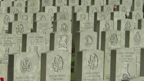 War Graves Video stock 99316227