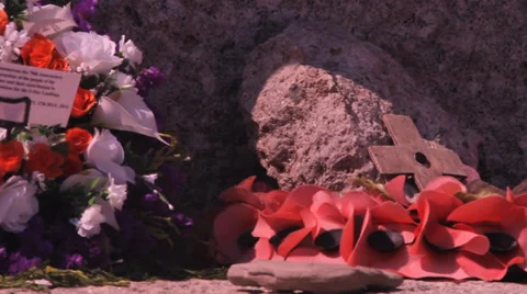 War memorial poppies 動画素材 38660071