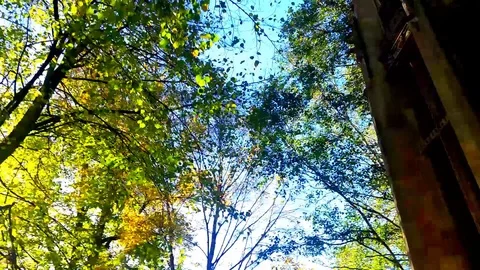 War Monument 動画素材 102888182